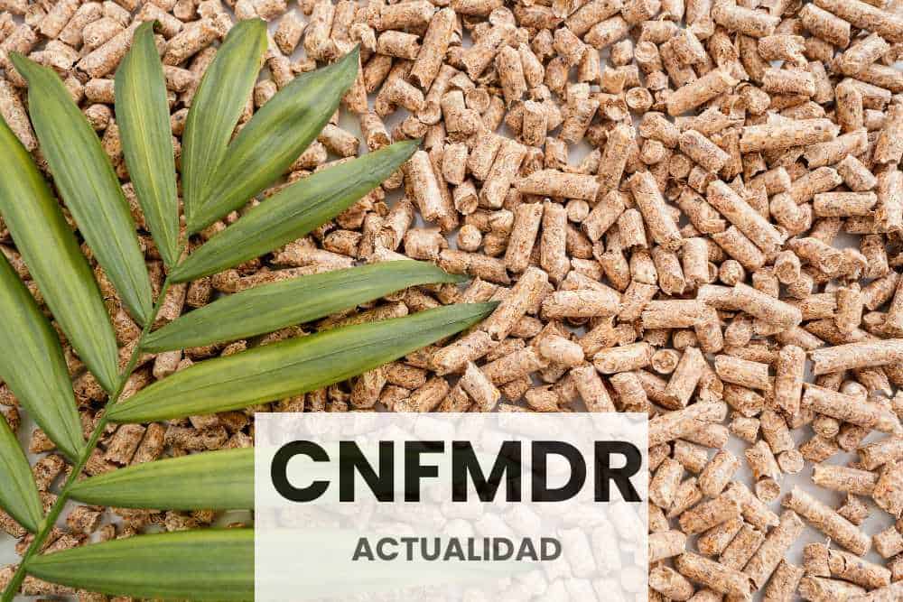 Descubriendo las Pelletizadoras Industriales Modernas