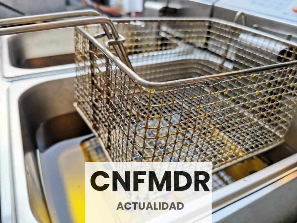 Stainless Steel Fryer Basket