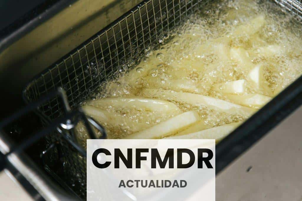 Photograph of French Fries Being Deep Fried