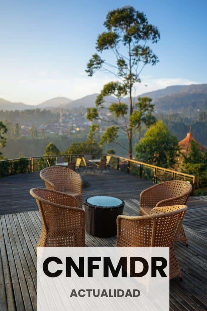 four brown wicker chairs