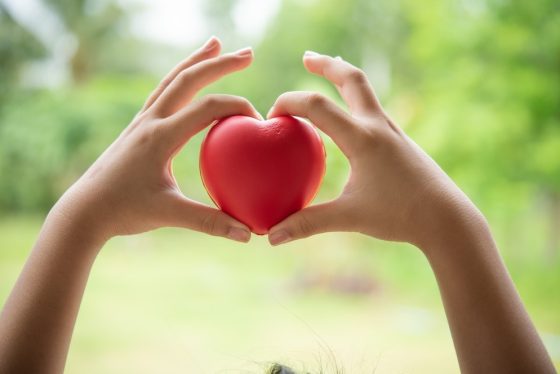 ¿Qué relación existe entre la salud y el medio ambiente?