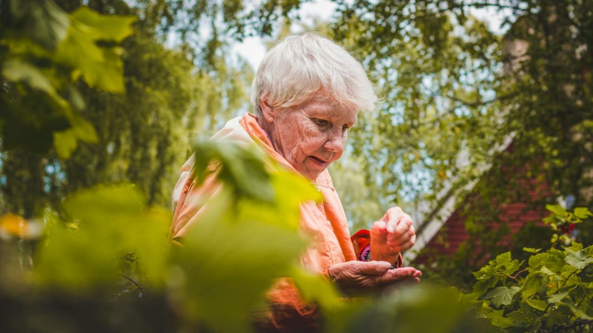 abuela