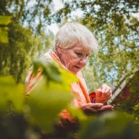 abuela