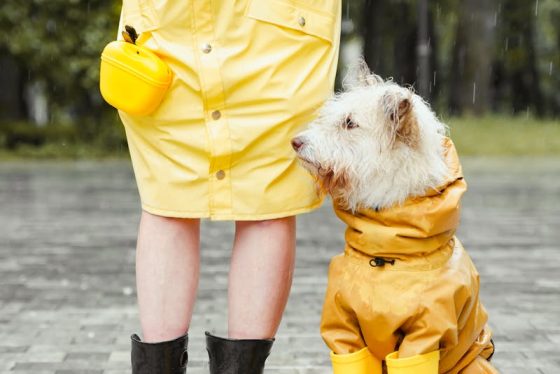 impermeable