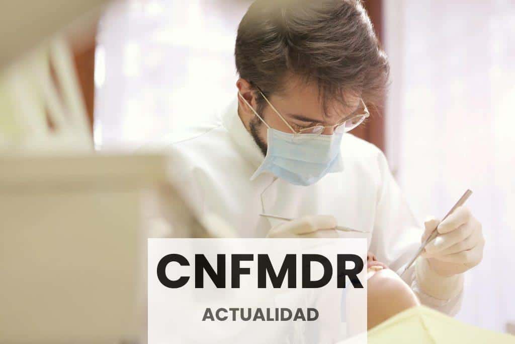 Dientes de leche