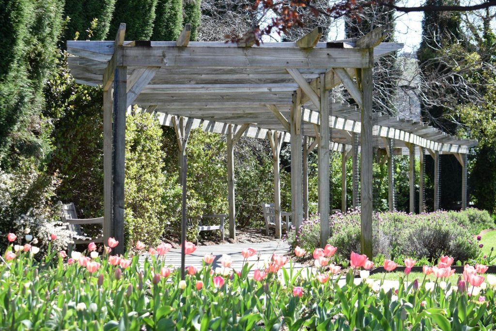 Pérgola de madera en un jardín, un uso exterior de la madera