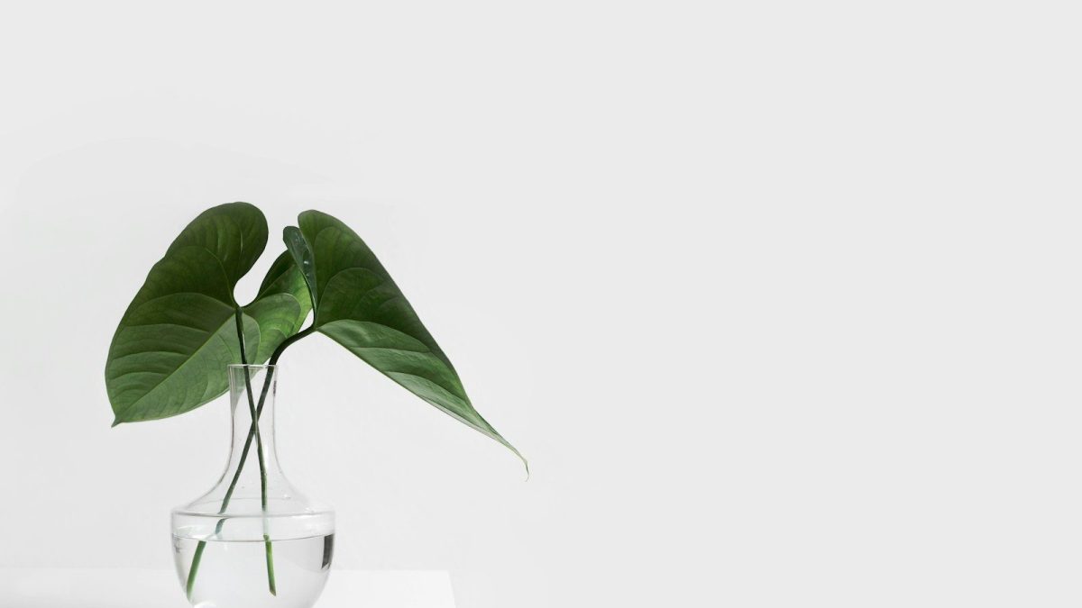 Cómo reducir el ruido visual en casa sin caer en un minimalismo extremo