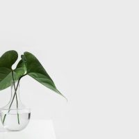 Cómo reducir el ruido visual en casa sin caer en un minimalismo extremo