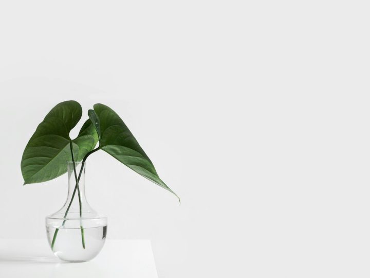 Cómo reducir el ruido visual en casa sin caer en un minimalismo extremo