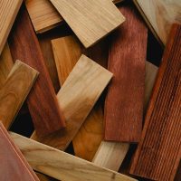 Muestras de distintos tipos de madera